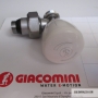 GIACOMINI TEAM THERMOSTATIZABABLE VALVE FOR R431TG 1 / 2X16