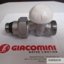 GIACOMINI DETENTORE DIRITTO R31 3/8XB16