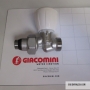 GIACOMINI THERMOSTATIZABABLE VALVE REMAIN R431TG 3 / 8X16